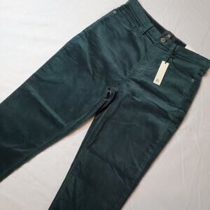 Banana Republic Womens Size 28P High-Rise Slim Fit Velvet Pant Green 818036